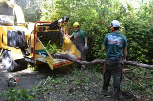 tree services Newcastle